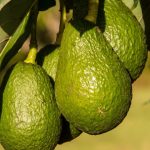 Fructul care îți protejează inima: cardiologii spun că ajută la reducerea colesterolului și menținerea tensiunii arteriale