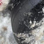 Șoferiță din Alba, amendată cu peste 1.800 de lei după ce a circulat pe autostradă cu anvelope de vară