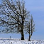 Schimbare bruscă a vremii! Ninsori semnificative și vânt puternic până sâmbătă: noua prognoză ANM