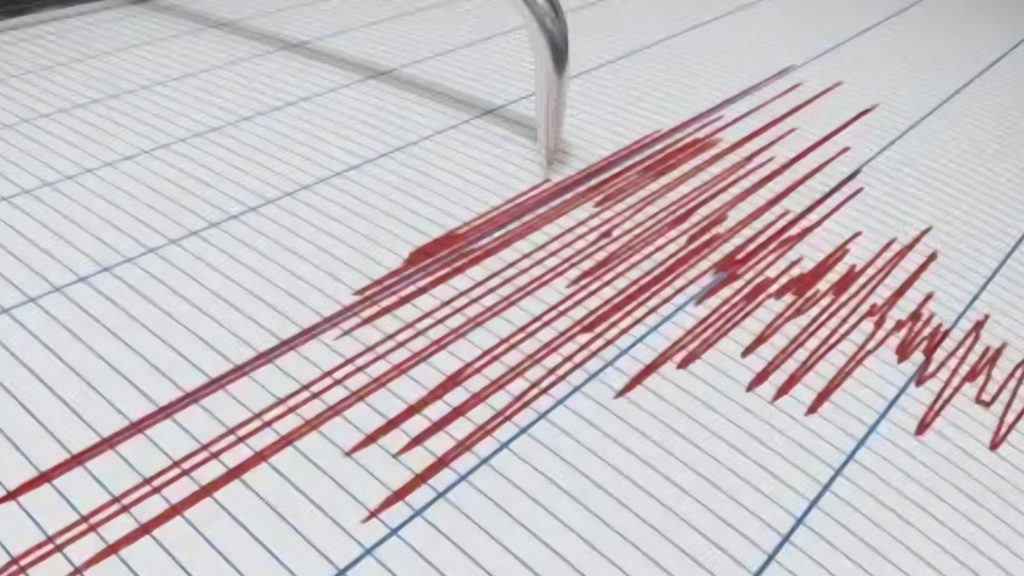 Cutremur în România, marți dimineață. Unde s-a produs seismul și ce magnitudine a avut