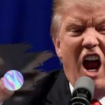 Donald Trump i-a arătat degetul mijlociu unui bărbat care l-a numit „protector al pedofililor” – VIDEO