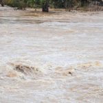 Două persoane au căzut în râul Olt. Una dintre ele a fost salvată, în timp ce a doua este căutată în continuare  de mai multe echipaje de salvare