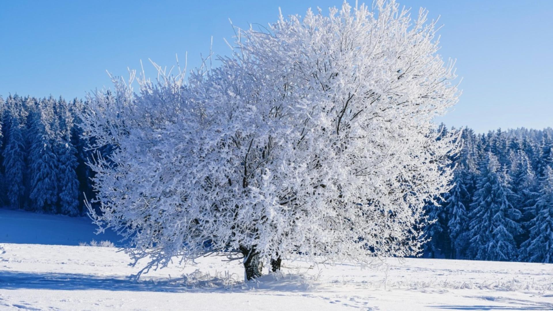 Gerul pune stăpânire pe România. Cod de ninsoare și viscol în sud, temperaturi de până la -15 grade. Prognoza ACTUALIZATĂ