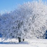 Urgia meteo lovește România: GER cumplit și ninsori viscolite. Când se încălzește