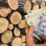 Iarna sărăciei la sat. Bătrânii stau în frig pentru că lemnele sunt mult prea scumpe -VIDEO