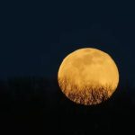 Zodiile care își schimbă total destinul după Luna Plină din 3 ianuarie 2026