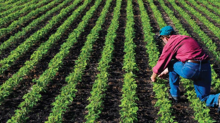 Ministerul Agriculturii a autorizat la plată peste 527 milioane de euro pentru fermierii români