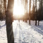 Schimbare de vreme în România: după valul de frig accentuat, temperaturile vor crește în toate regiunile