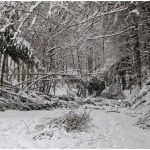 Mobilizare de forțe pentru salvarea unei persoane dintr-o pădure din Rodna. Elicopterul SMURD nu poate interveni din cauza vremii