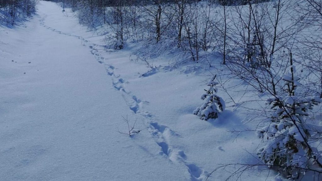 Salvamont Suceava anunță care sunt traseele montane pe care turiștii trebuie să le evite. Lista locurilor unde oamenii sunt în mare pericol