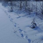 Salvamont Suceava anunță care sunt traseele montane pe care turiștii trebuie să le evite. Lista locurilor unde oamenii sunt în mare pericol