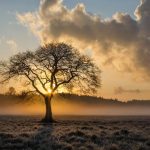 Radiografia unui an extrem. ANM confirmă 2025 ca fiind al patrulea cel mai cald an înregistrat