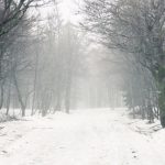 Vijelia își arată colții în vestul țării. ANM a emis COD GALBEN de vânt puternic în 2 județe