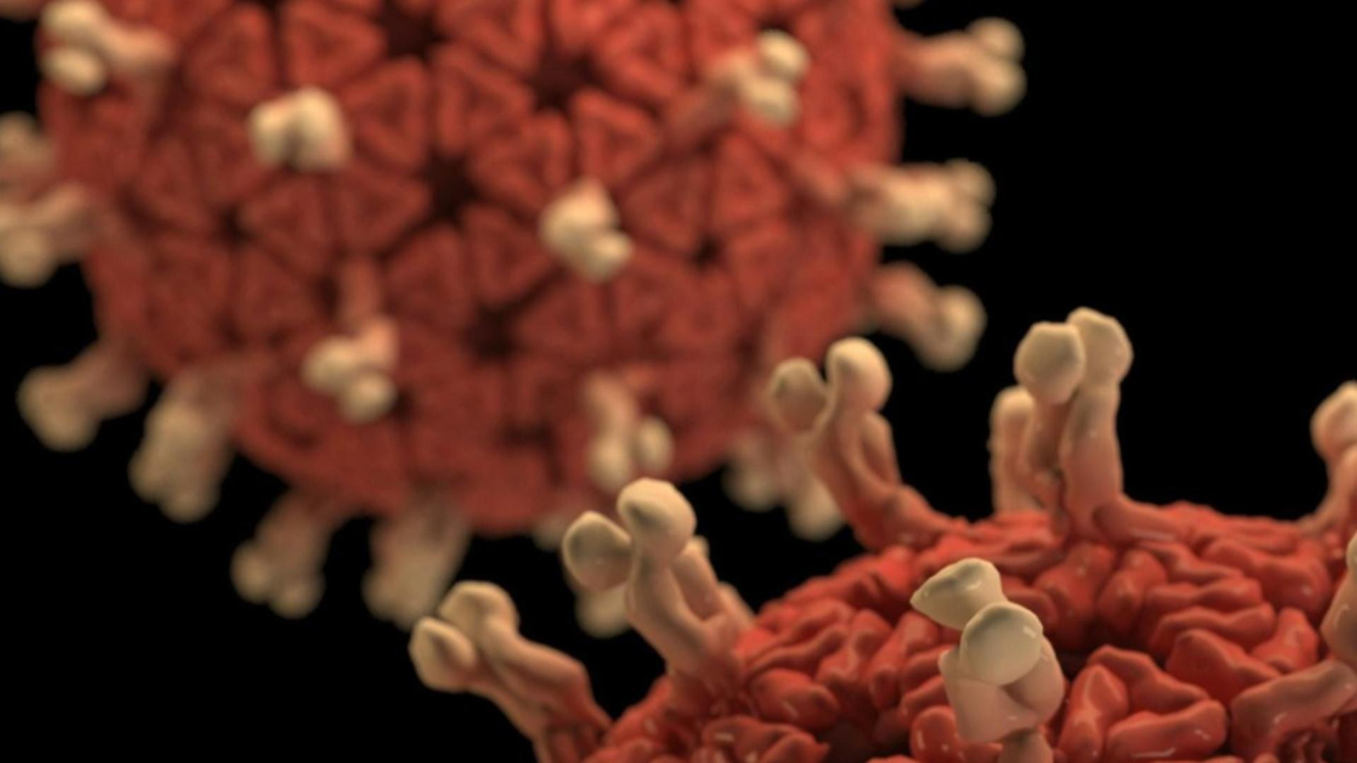 Alerta sanitară într-o țară din Europa! Autoritățile se pregătesc pentru cel mai greu sezon de gripă din istorie