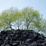 Gazele scumpe readuc cărbunele în centralele Europei. Producția ar putea crește cu 25% în șase luni