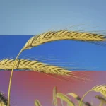 O regiune din sudul Rusiei declară stare de urgență după atacurile ucrainene. Exporturile de cereale au fost grav afectate