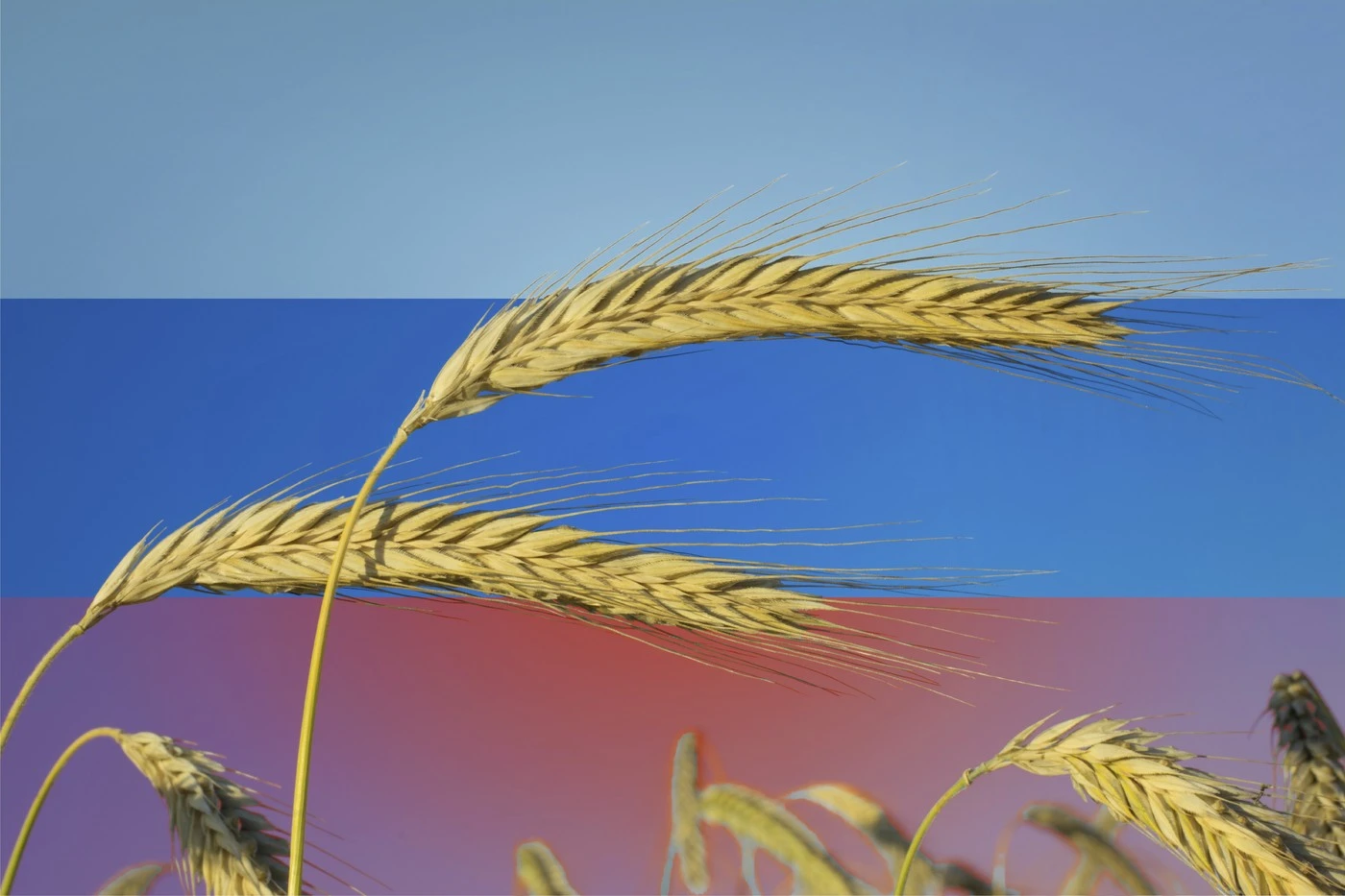 O regiune din sudul Rusiei declară stare de urgență după atacurile ucrainene. Exporturile de cereale au fost grav afectate