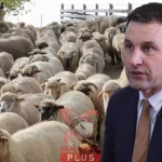 Tanczos Barna, avertisment după discuțiile cu fermierii: „Agricultura nu mai poate supraviețui la aceste prețuri”
