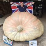 Un britanic a crescut un dovleac mare cât un hipopotam și a înscris un nou record mondial
