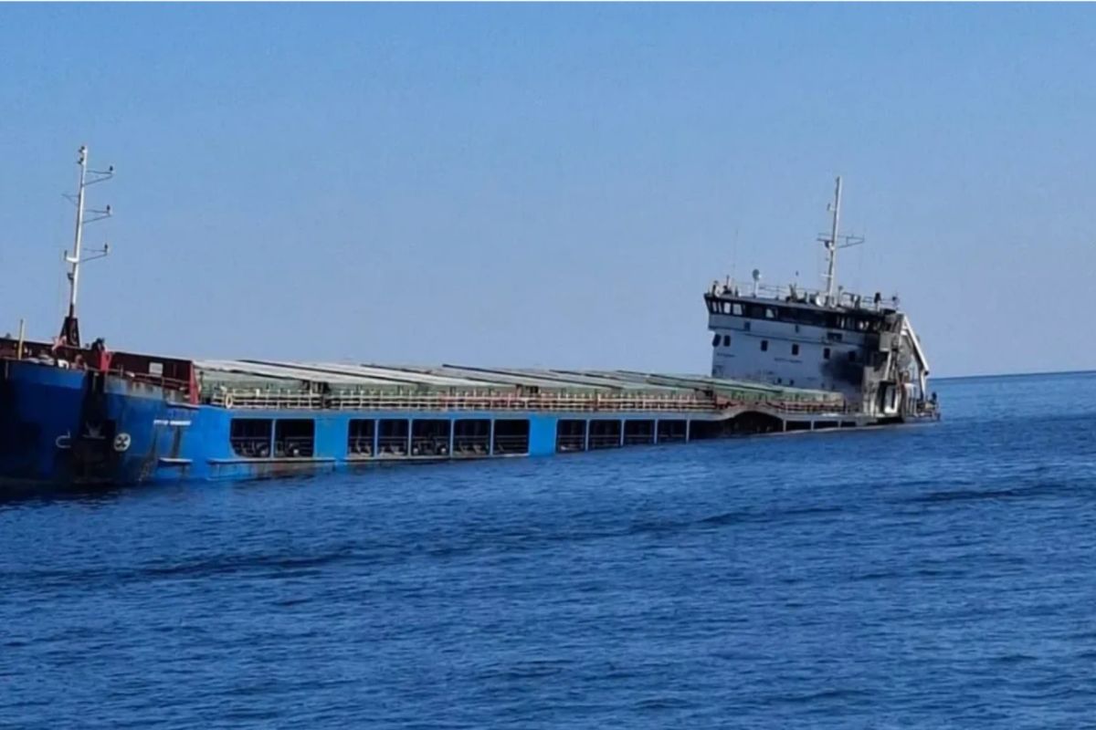 Alertă la Marea Neagră: două nave lovite de drone în largul apelor Bulgariei. Premierul Radev a convocat Consiliul de Securitate și va discuta cu  șeful NATO