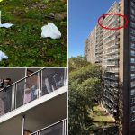 O americancă de 23 de ani a murit după ce ar fi fost împinsă de la etajul 15 împreună cu bebelușul ei. Copilul este în stare critică