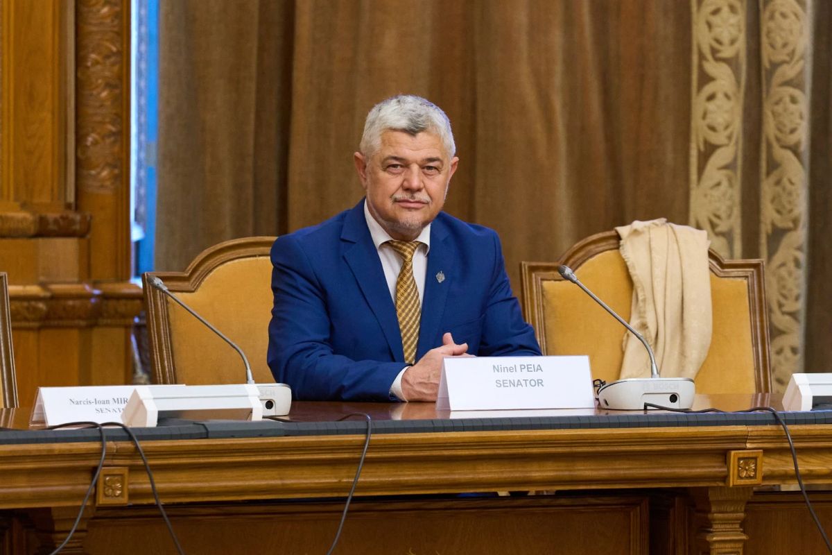 Ninel Peia, despre susținerea unui nou Guvern: „Vom da voturile noastre dacă vor fi luate măsuri pentru relansarea economică”