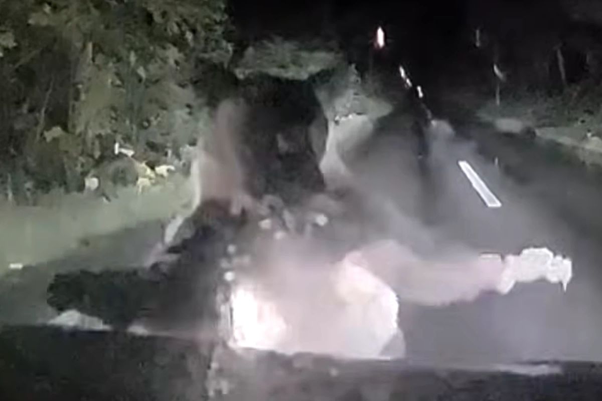 Momentul în care o ursoaică se năpustește asupra unei mașini. Pasagerii urmăresc în șoc cum sare pe capotă și îi rupe tabla cu ghearele