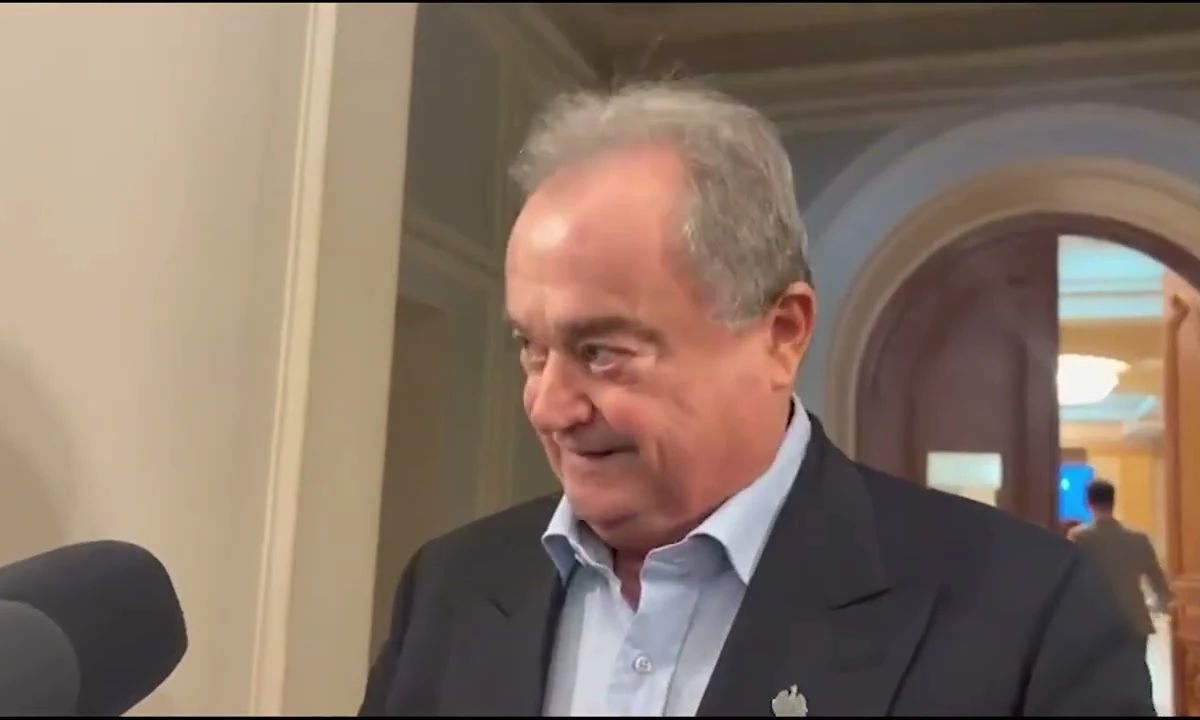 PNL votează Guvernul Niculescu, dar impune condiții. Vasile Blaga: „Nu avem nici acum încredere în PSD”